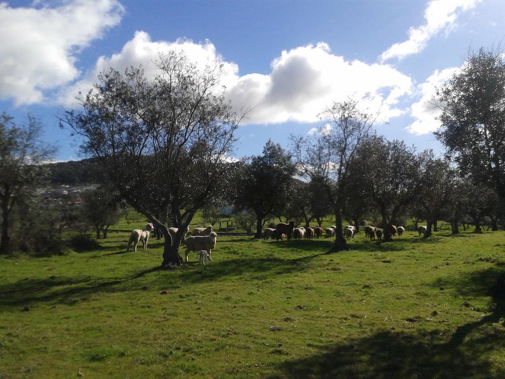Tapada Da Eira E Chanca Fortios Buitenkant foto