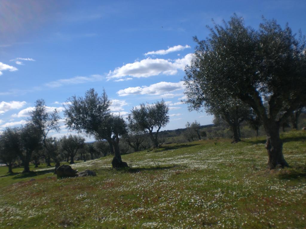Tapada Da Eira E Chanca Fortios Buitenkant foto